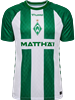 Hummel - WER 26/27 HOME JERSEY S/S, Trikot