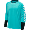 Hummel - ESSENTIAL GK Jersey - Torwarttrikot