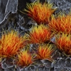 Gamers Grass - Tufts Alien Fire (6mm)