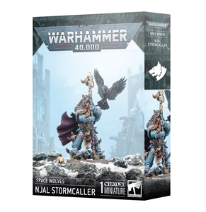 Warhammer 40 k - Space Wolves