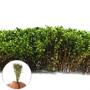 Green Stuff World - Tall Shrubs Light Green