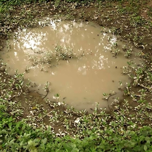 AK Interactive - Diorama: Puddles