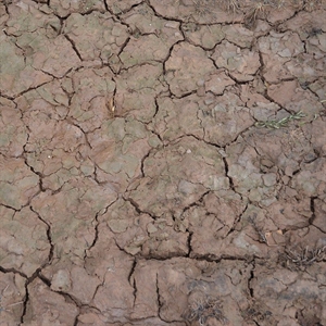 AK Interactive - Diorama: Wet Crackle Effects