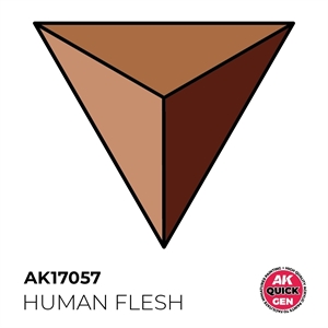 AK Quick Generation Acrylics - Human Flesh